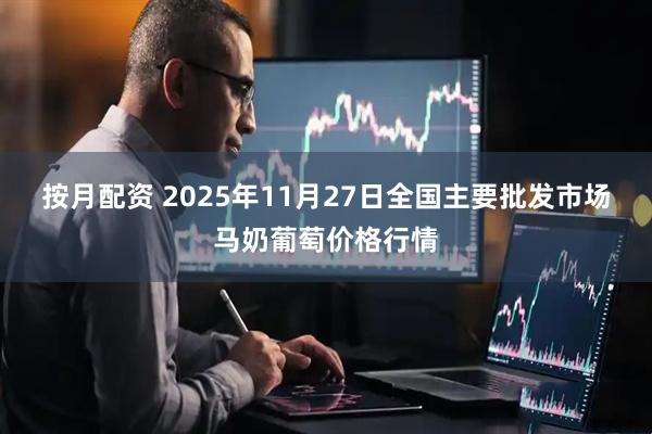按月配资 2025年11月27日全国主要批发市场马奶葡萄价格行情