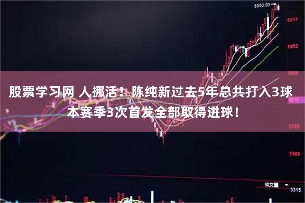 股票学习网 人挪活！陈纯新过去5年总共打入3球 本赛季3次首发全部取得进球！